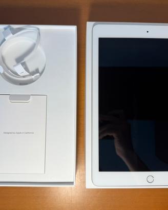 Ipad (6th generation)