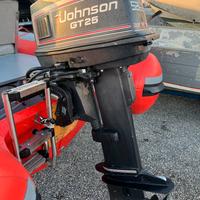 Motore Johnson gt25