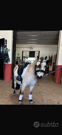 Pony