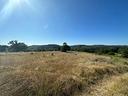 terreno-agricolo-orte-cod-rif-3081462vcg-