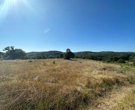 Terreno Agricolo Orte [Cod. rif 3081462VCG]