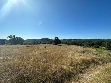 Terreno Agricolo Orte [Cod. rif 3081462VCG]