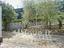 Immagine 13