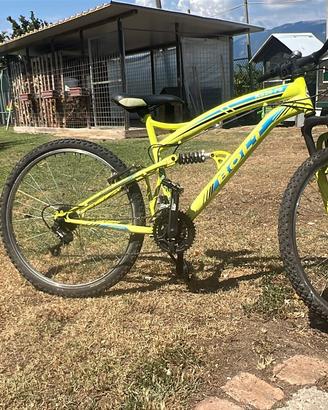 Bicicletta
