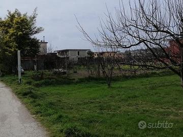 Quarto - terreno agricolo