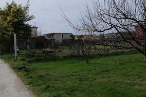 Quarto - terreno agricolo