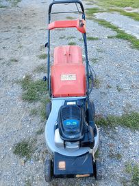 rasa erba 