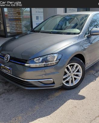 Volkswagen Golf Business 1.5 TGI BlueMotion #10224