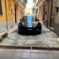 TESLA Model 3 NV35 AWD Performance