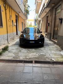 TESLA Model 3 NV35 AWD Performance