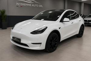 TESLA MODEL Y PERFORMANCE