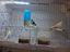 Immagine 2