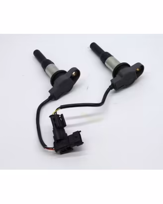 COPPIA BOBINE DUCATI MULTISTRADA V4 1100 S