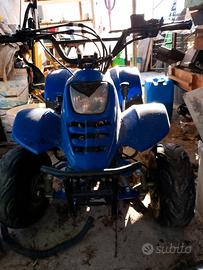 quad 110cc