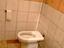 Immagine 7