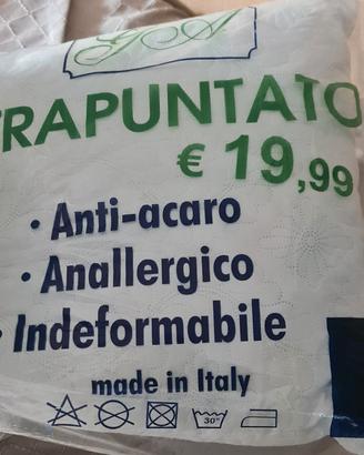 2 cuscini NUOVI 