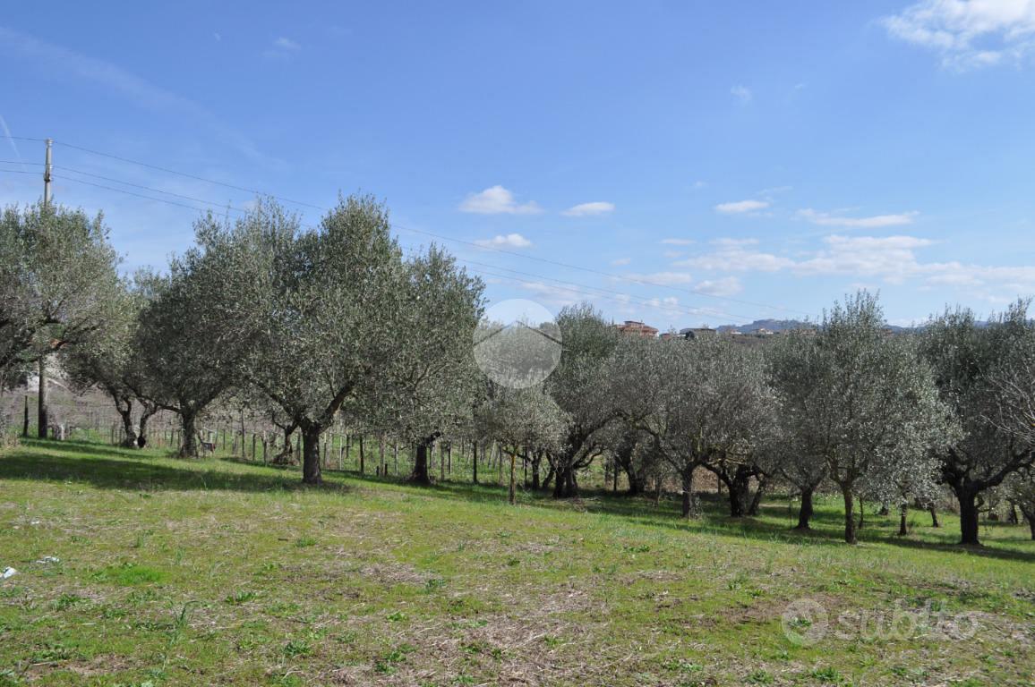 TER. AGRICOLO A ROMA - Altro