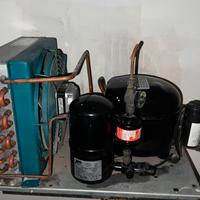 Motore Frigo “RivaCold” Compressore Aspera NE6181E