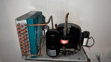 Motore Frigo “RivaCold” Compressore Aspera NE6181E
