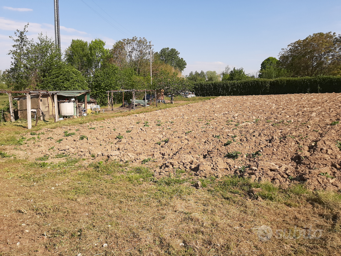 Terreno Agricolo - Vista 6