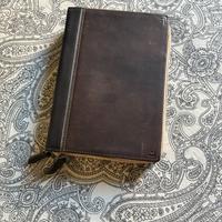 PORTACCESSORI  CADDY SACK Di TWELVE SOUTH x LAPTOP