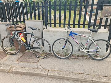Biciclette vario tipo 