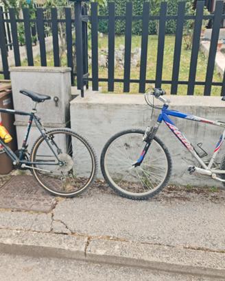 Biciclette vario tipo 