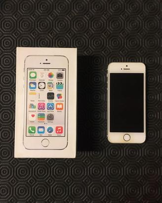 Apple iPhone 5s Guasto con Scatola e Accessori