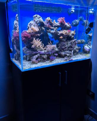 Acquario Marino 160 litri 