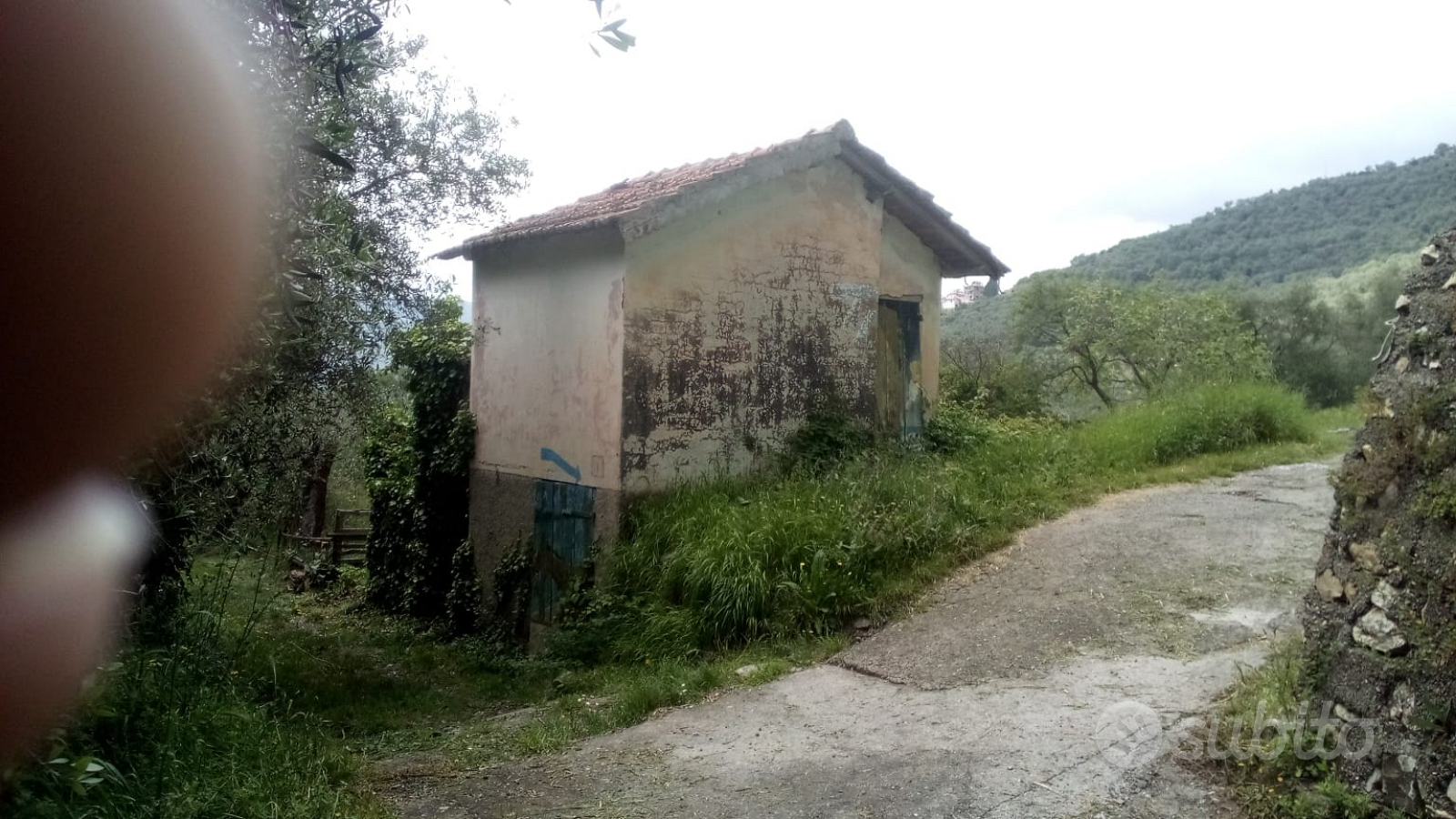 Civile abitazione in LIGURIA Chiusanico (IM) - Vista 5