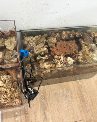 Rocce acquario marino