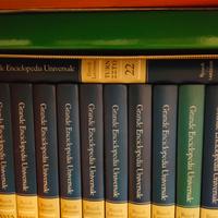 Rizzoli Larousse Grande enciclopedia universale 