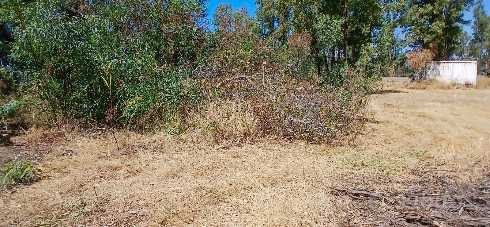 Terreno - Muravera - Vista 5