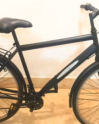 bici da passeggio daricello 28 