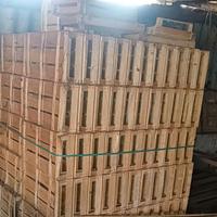 Cassette raccolta frutta verdura