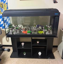 Acquario 110