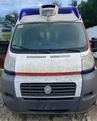 ZANONI FIAT Ducato 5° Serie FIAT DUCATO F1CE0481D