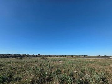 Terreno agricolo 5 ettari