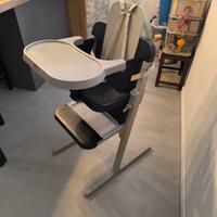 Seggiolone  + sdraietta