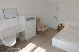 Stanze per studentesse