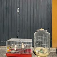 gabbie per uccelli con accessori inclusi