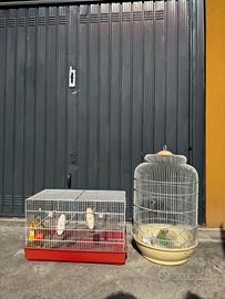 gabbie per uccelli con accessori inclusi