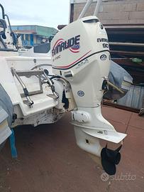 Evinrude E-TEC 90 cv con monoleva e strumenti