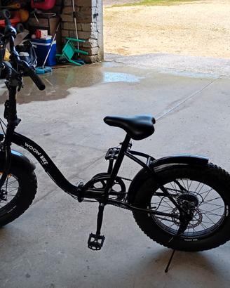 Bici pieghevole