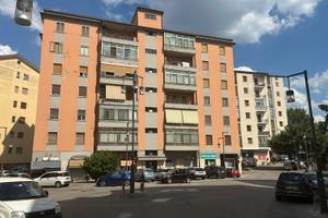 Ampio e luminoso appartamento via n.sauro 23