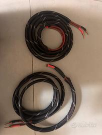 Cavi  Van Den Hul  Magnum ed hybrid