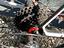 Immagine 3