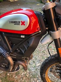 Ducati scrambler 800