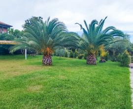 B&B a San Giovanni Montebello