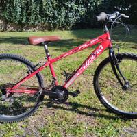 Mtb ALPINA 24